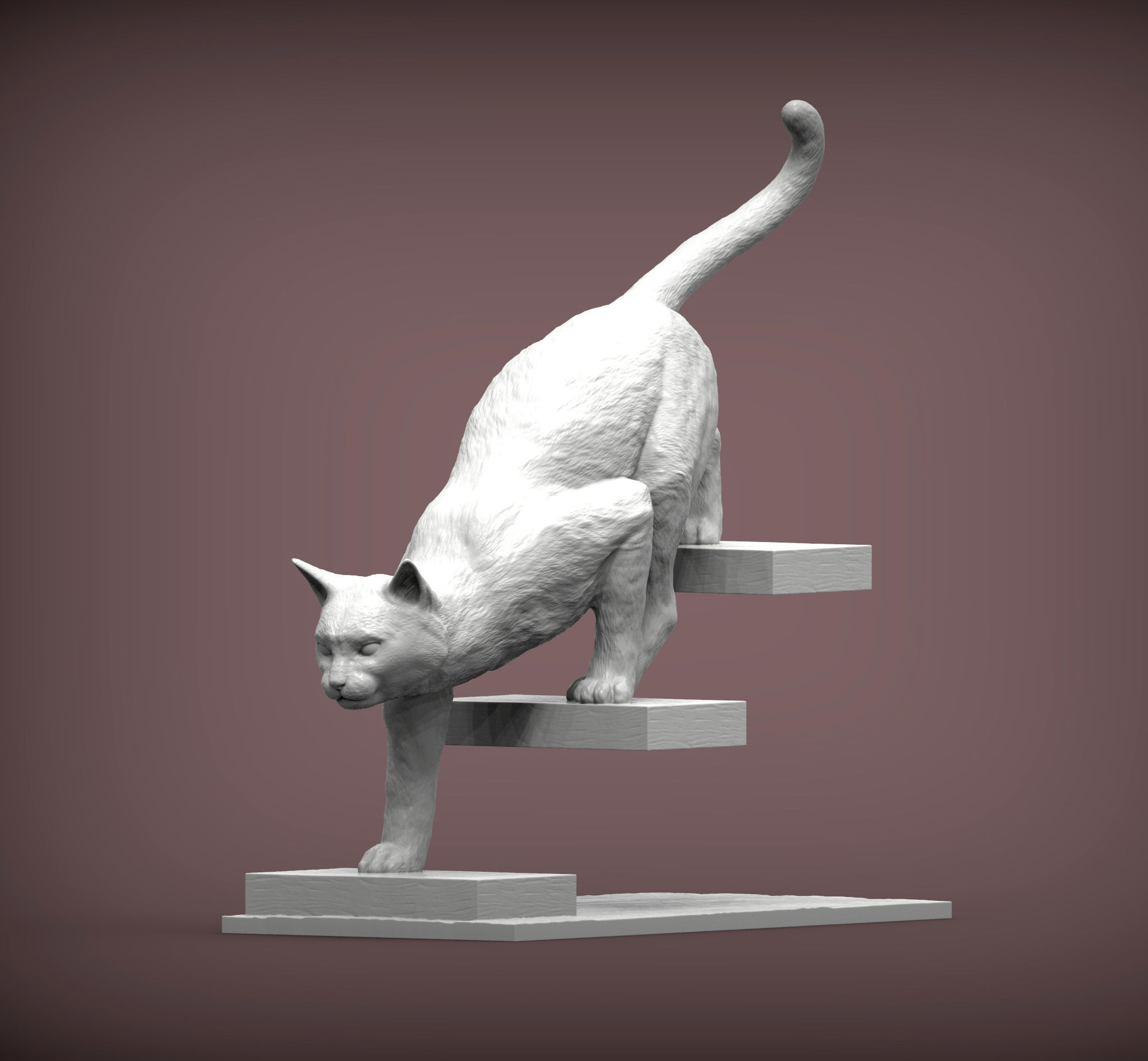 The cat goes down the stairs  3D print model_2