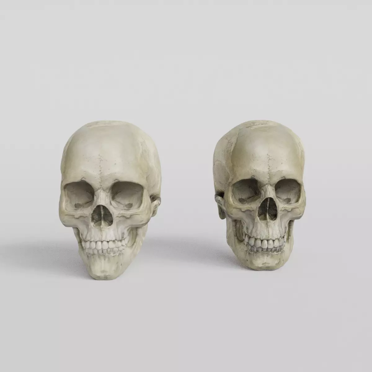 Skull human 3D print model 3D model_0