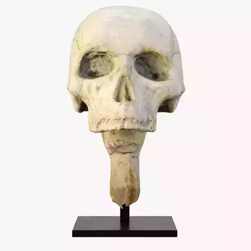 Mummy Skull