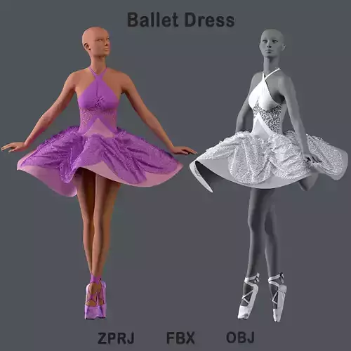 Ballet dress and shoes 3D model