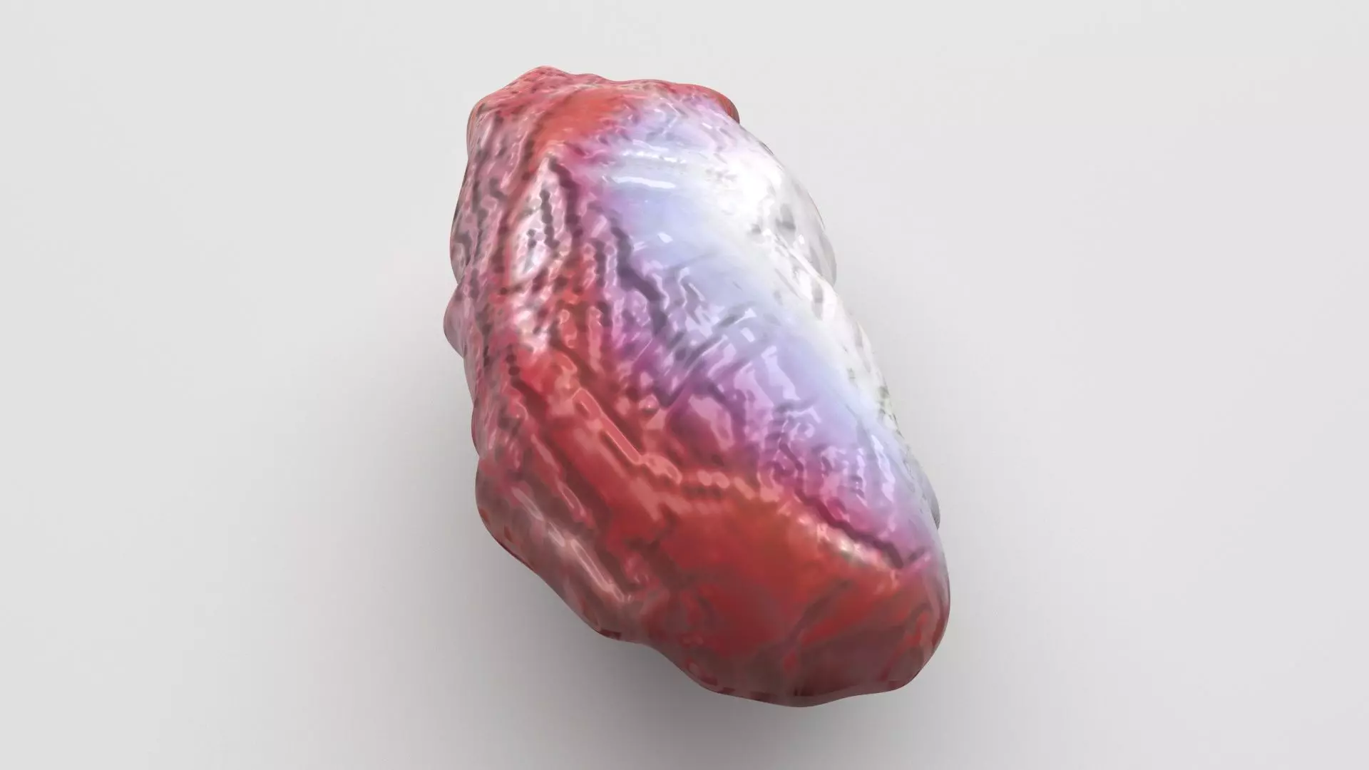 Chicken Stomach 3D model
