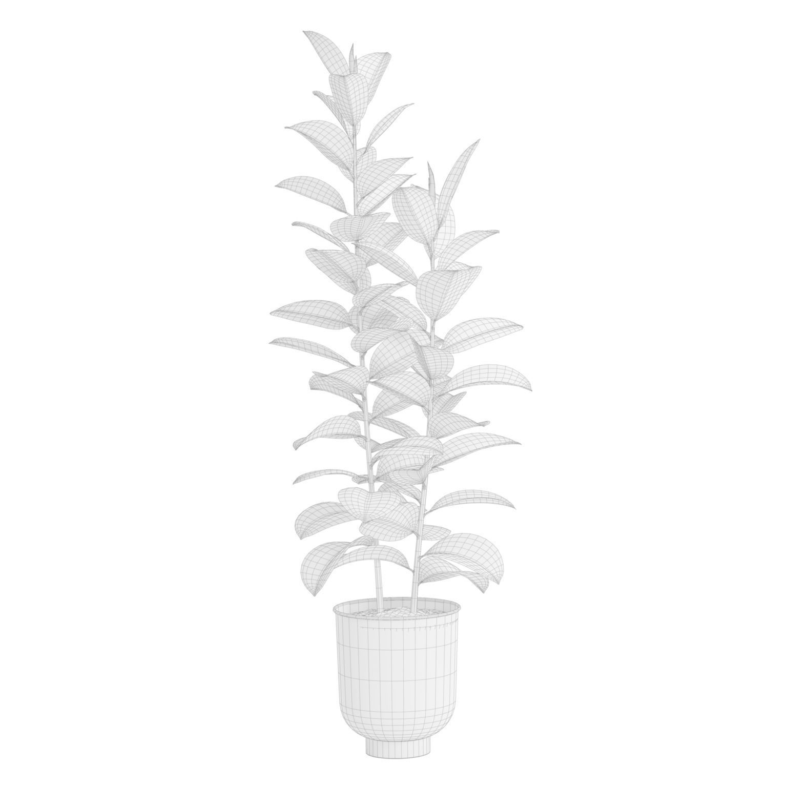 Indoor Plants Pack 52 3D model_7