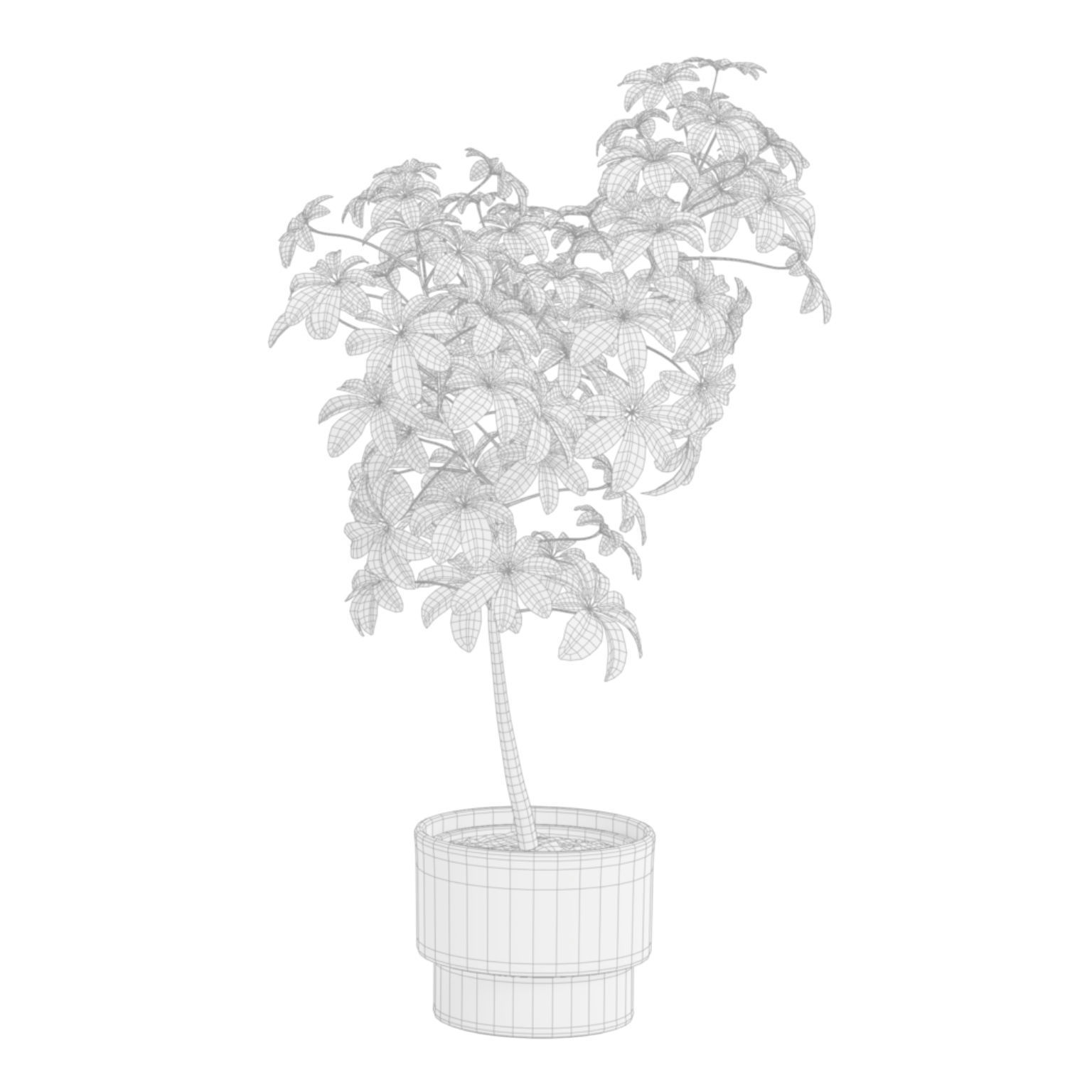 Indoor Plants Pack 52 3D model_8