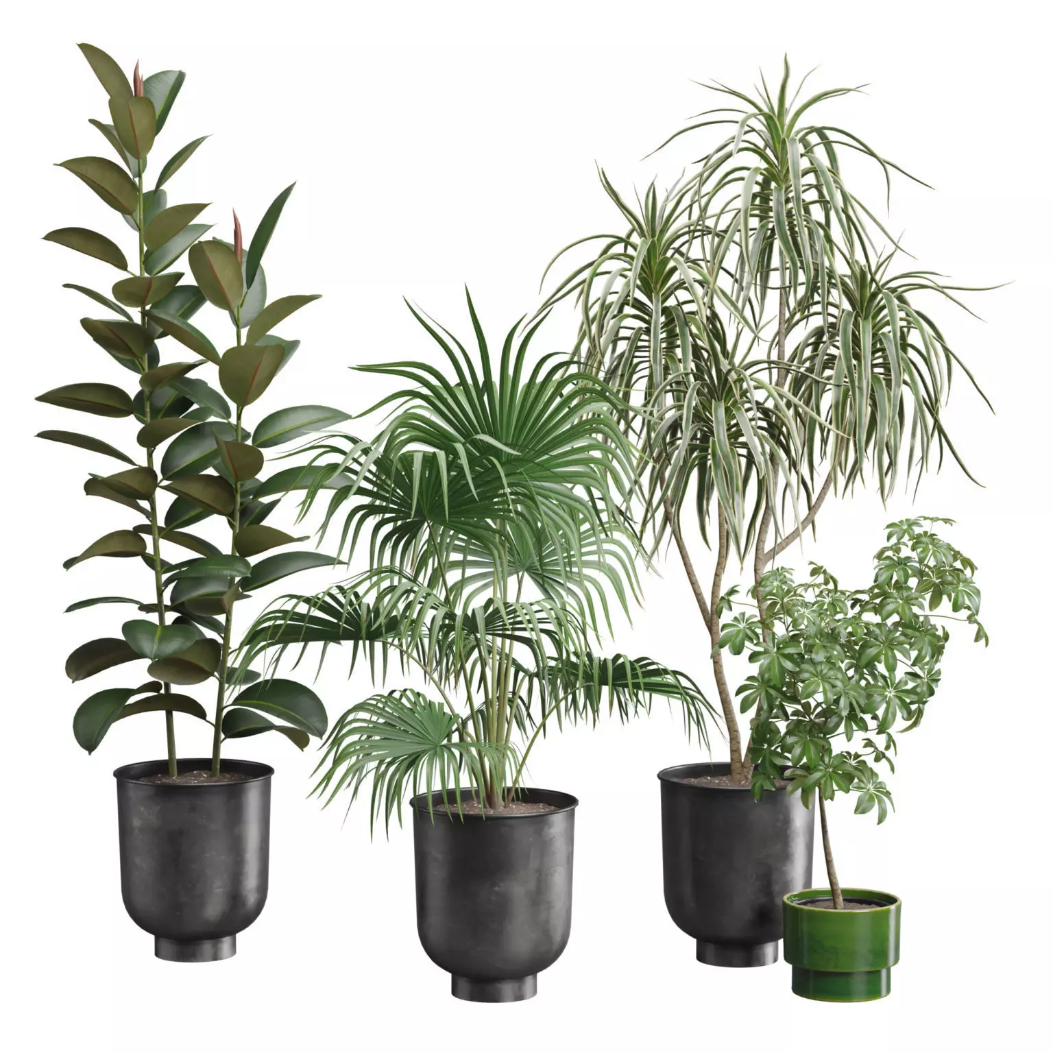 Indoor Plants Pack 52 3D model_0