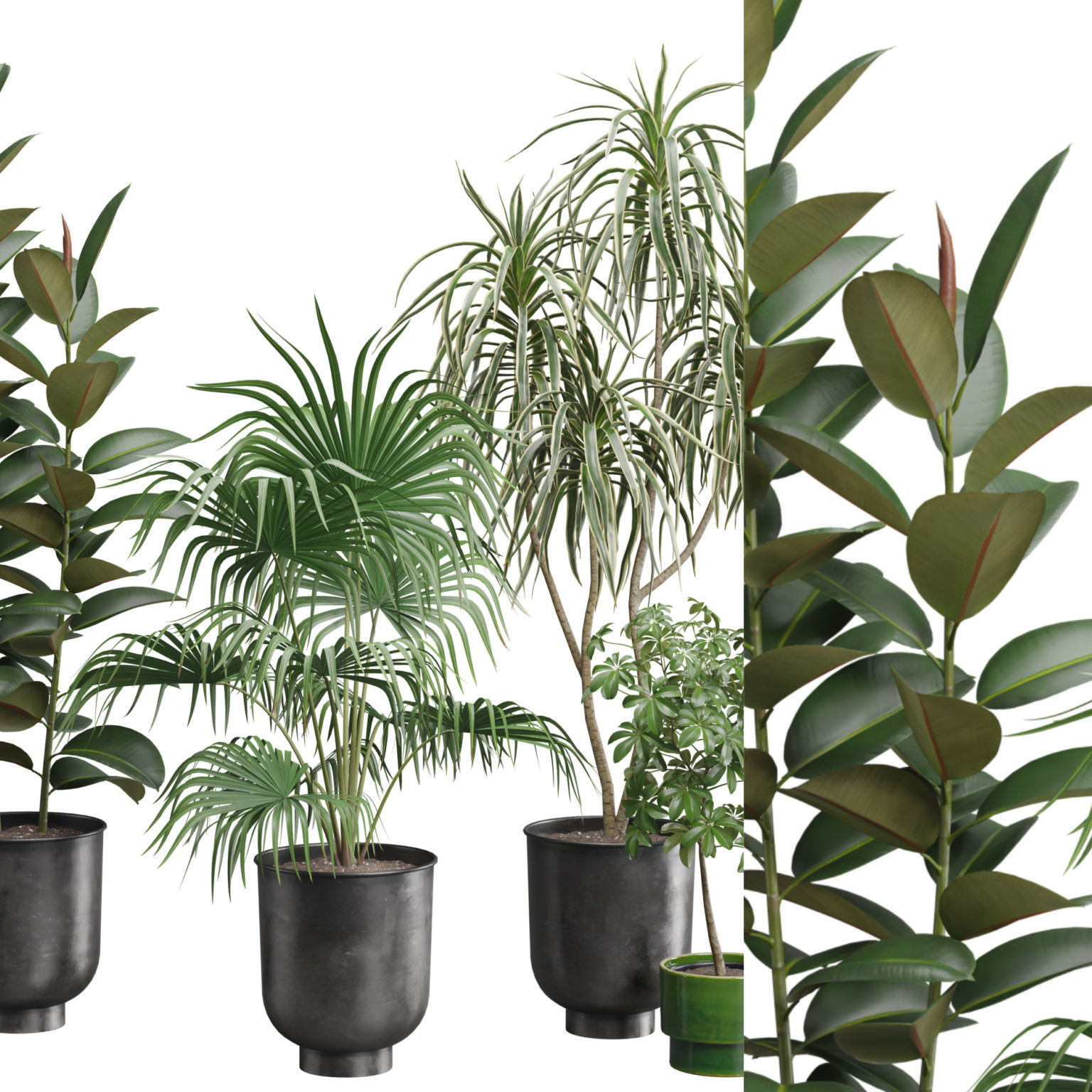 Indoor Plants Pack 52 3D model_1