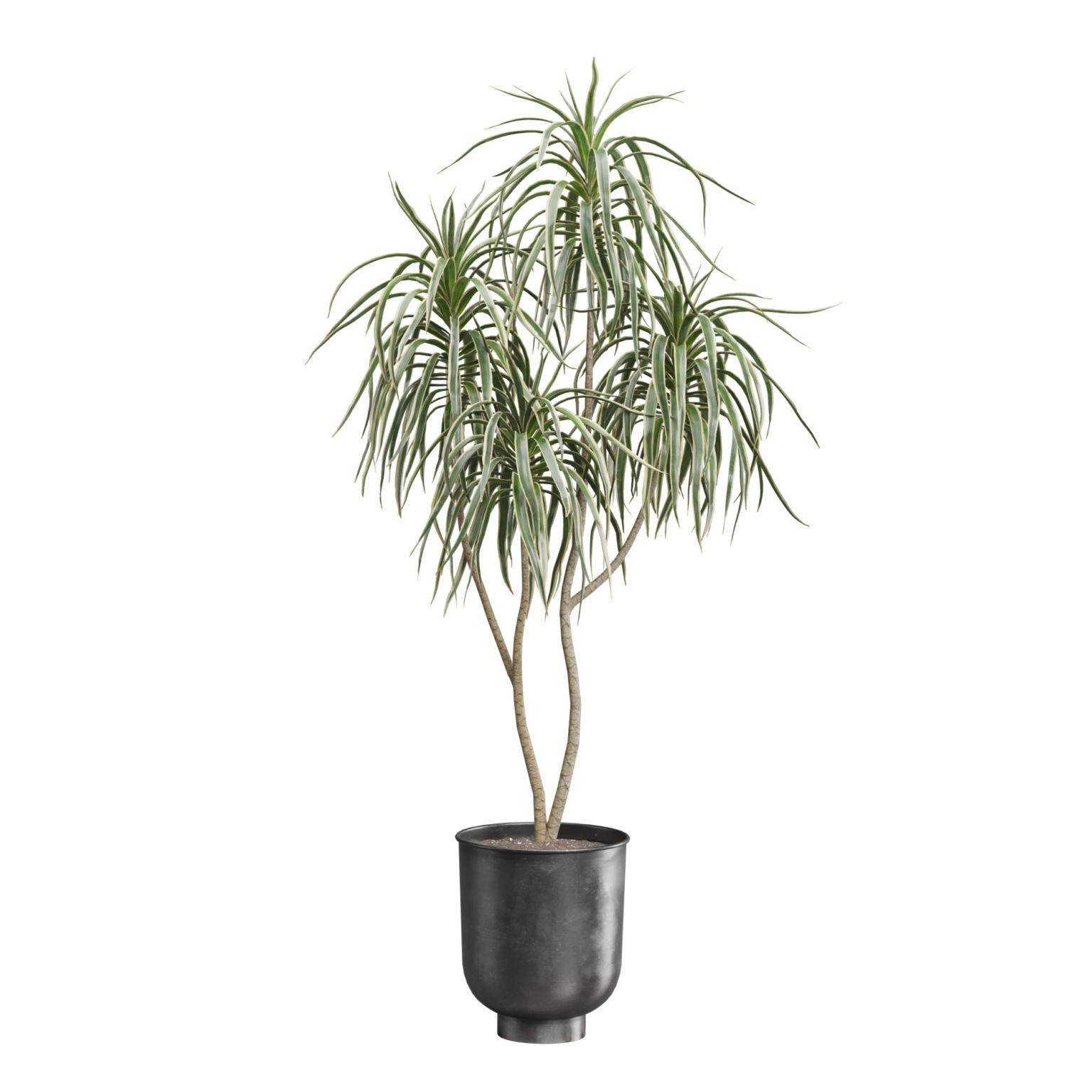 Indoor Plants Pack 52 3D model_3