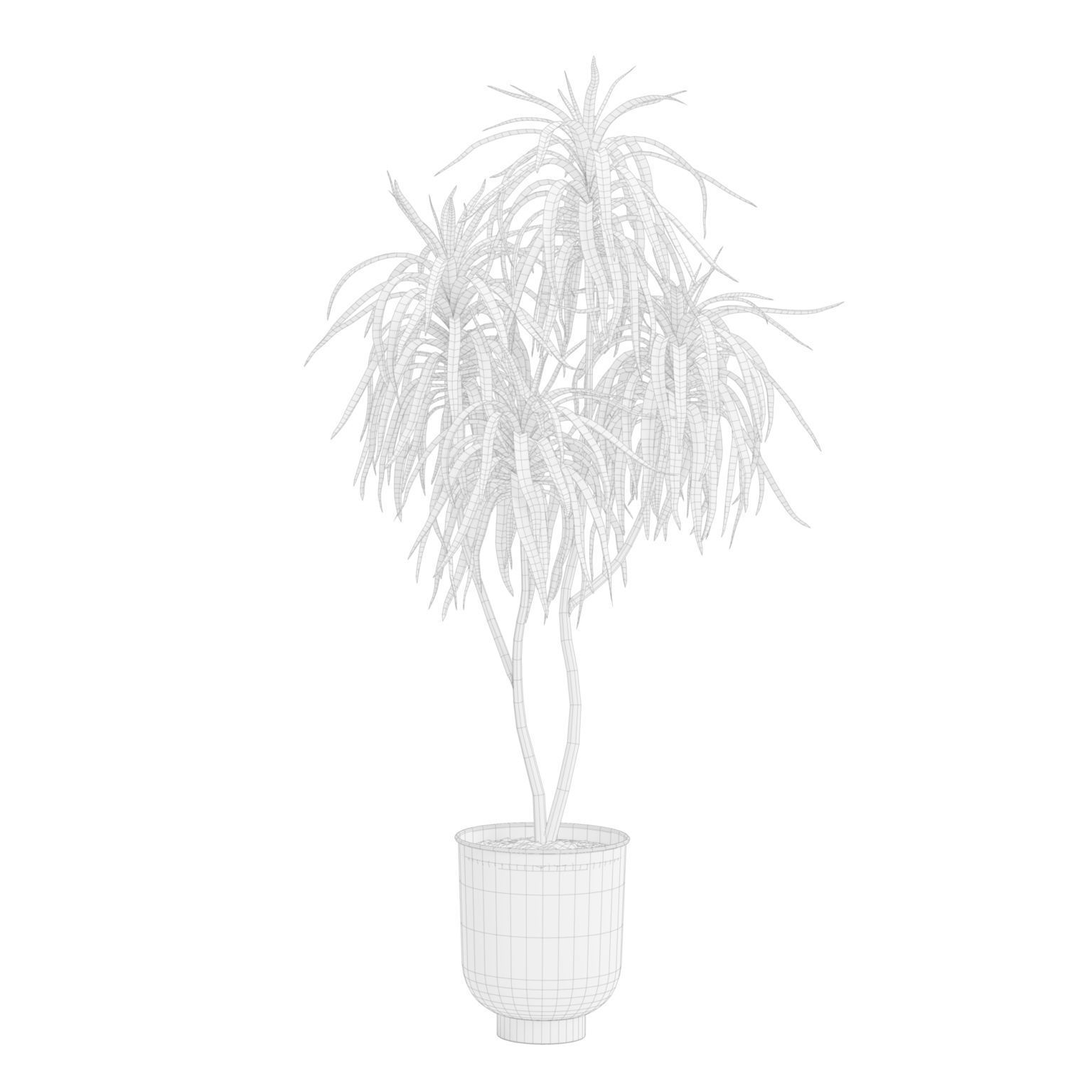 Indoor Plants Pack 52 3D model_10
