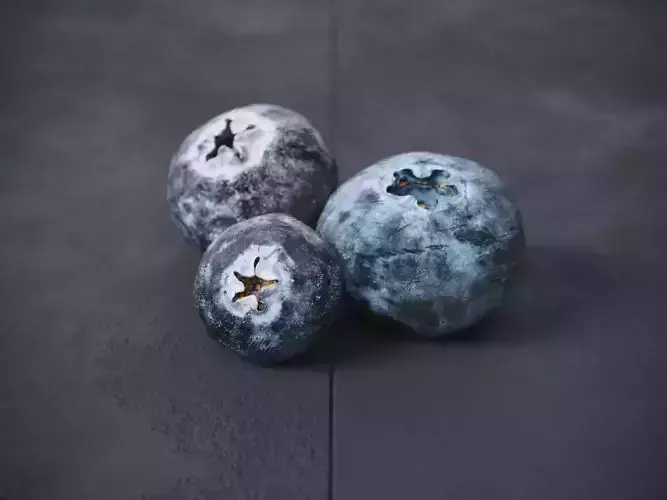 Blueberry  3D model