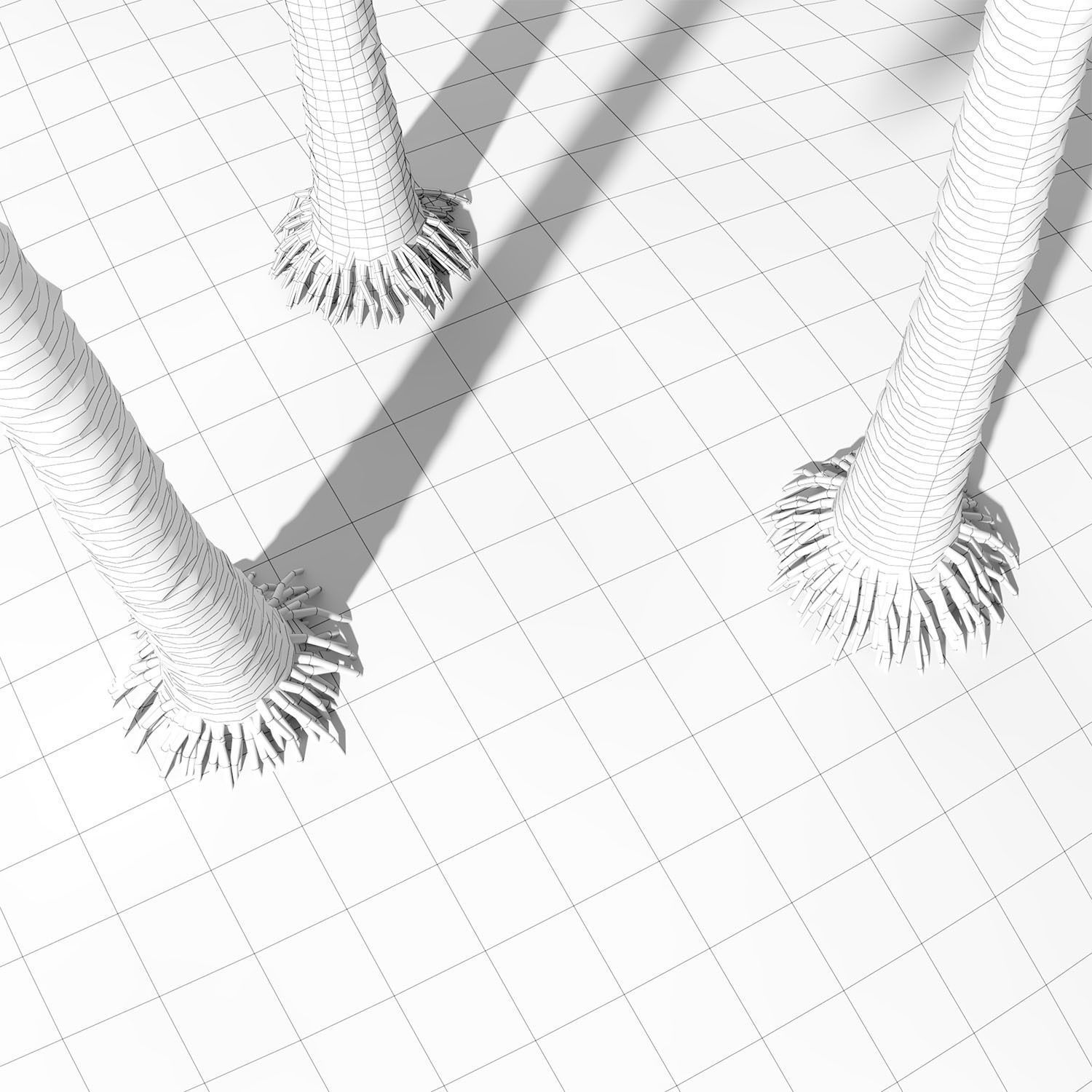 Coconut palm tree 3D model_10