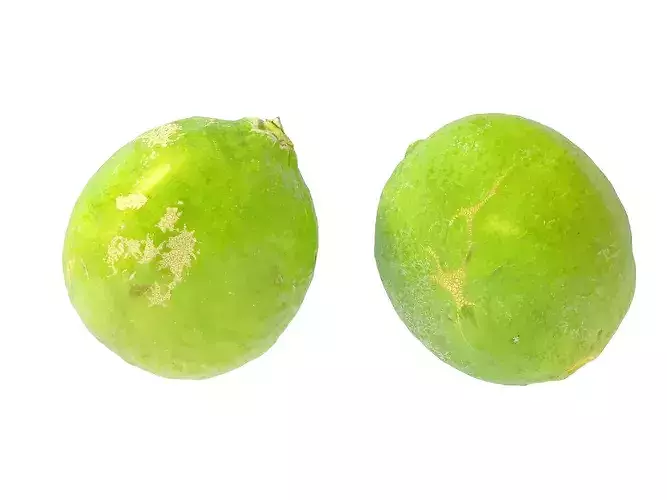 Lime fruit    3D model 7