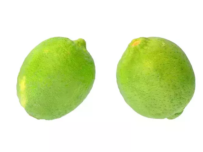 Lime fruit    3D model 6