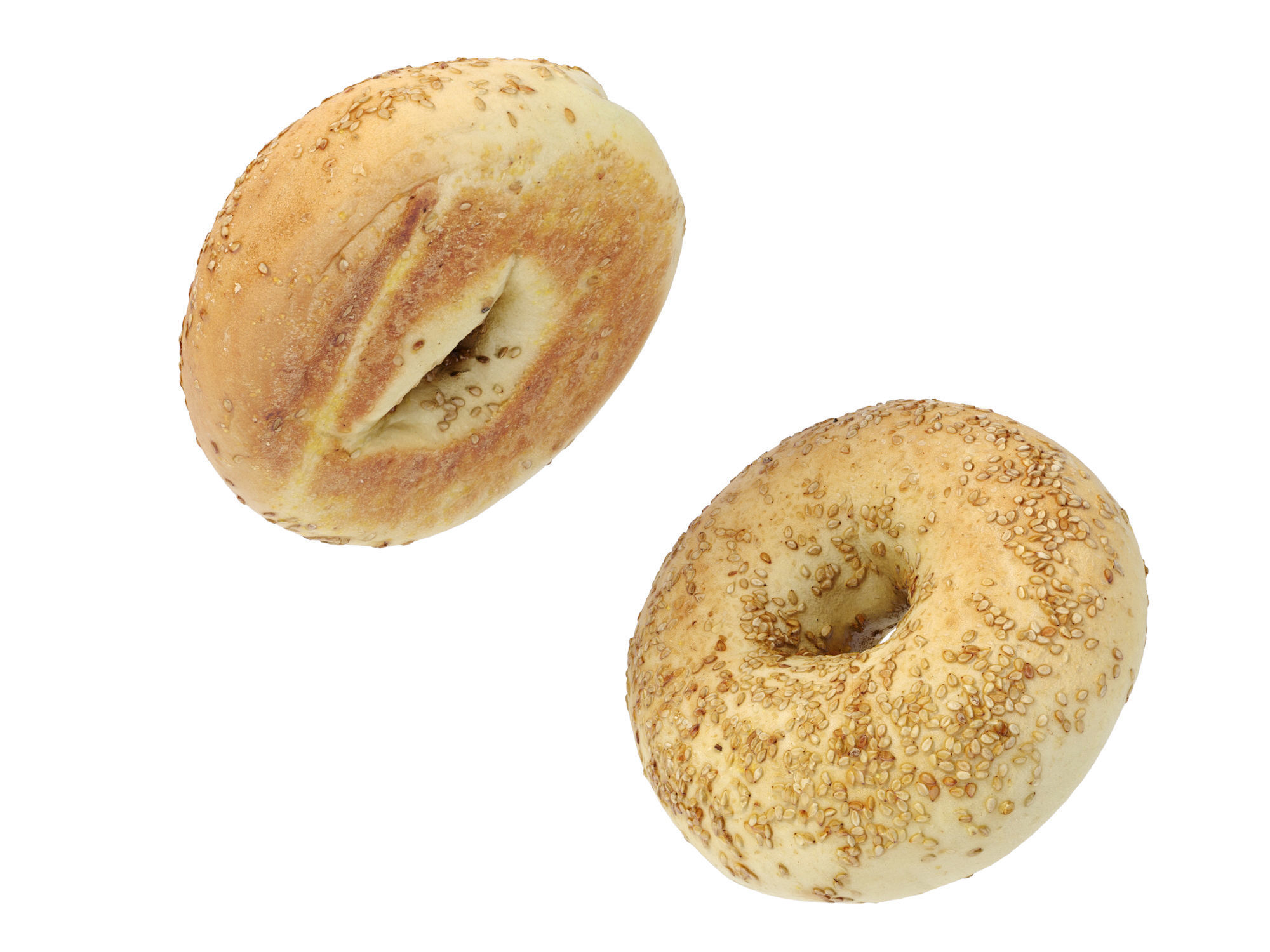Sesame Bagels  3D model_8