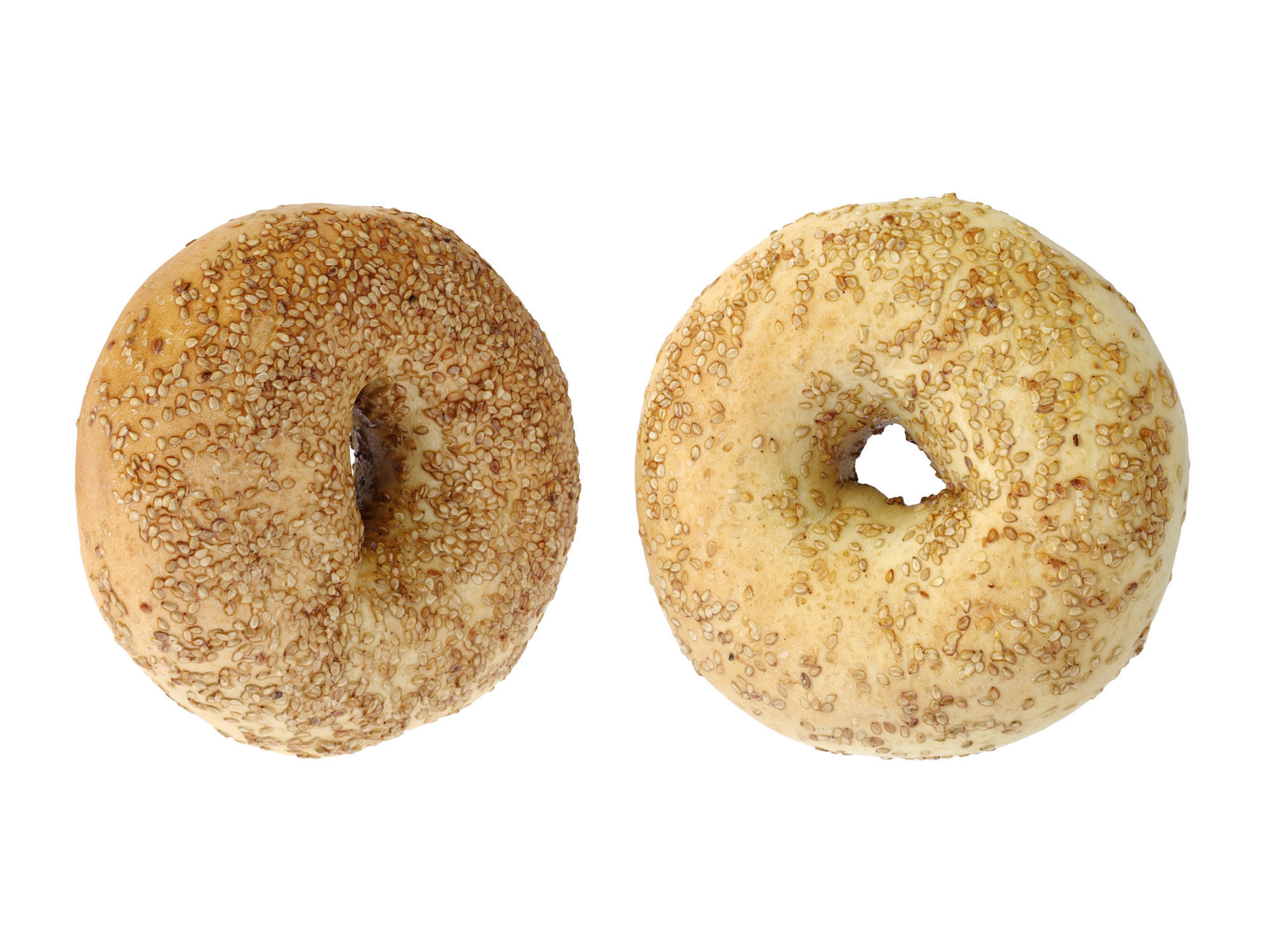 Sesame Bagels  3D model_6