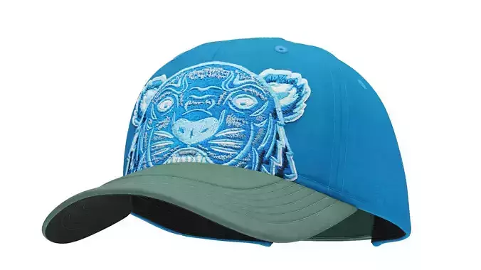 Cap 3D High Quality 3D model