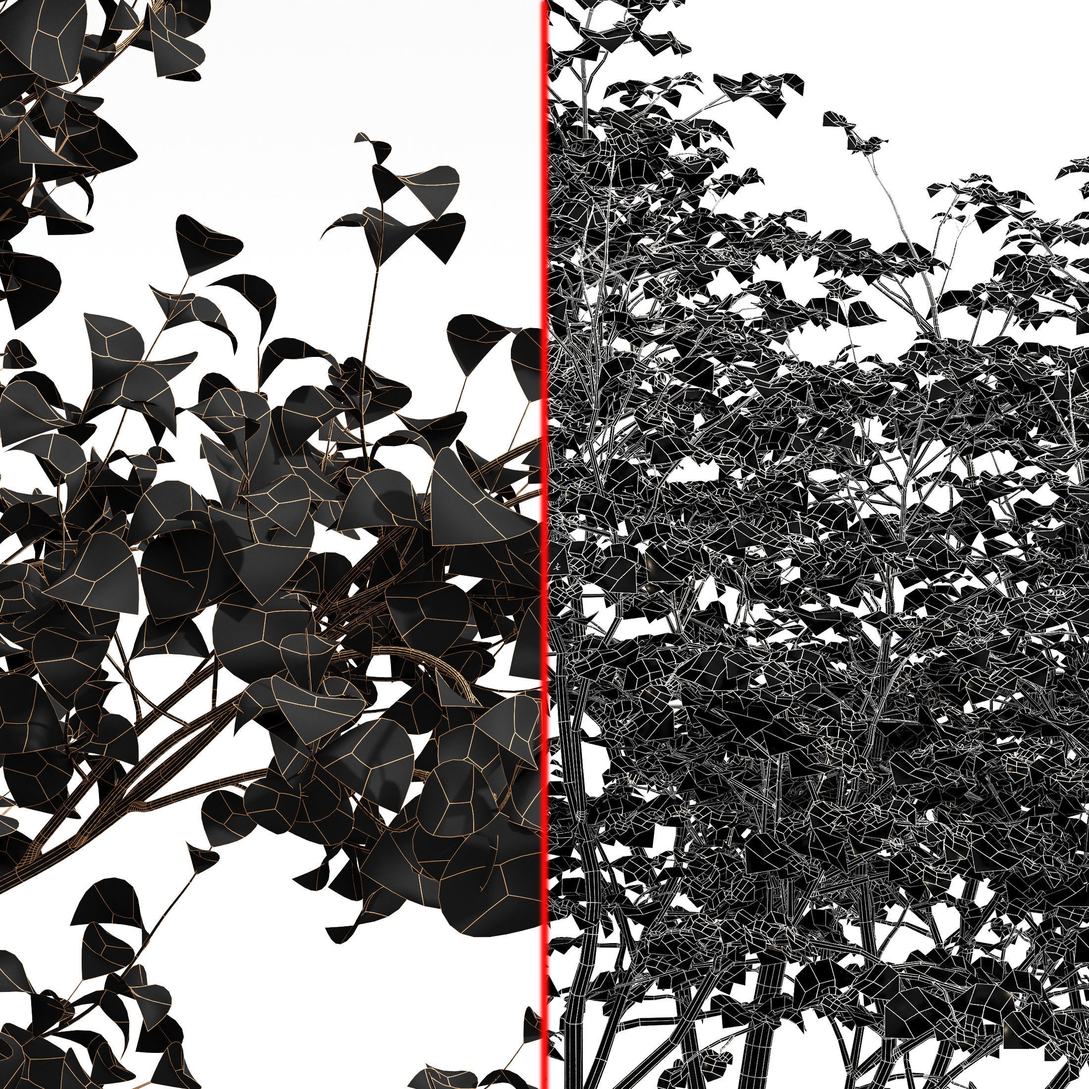 Acer Saccharinum and Hazel leaves 3D model_6