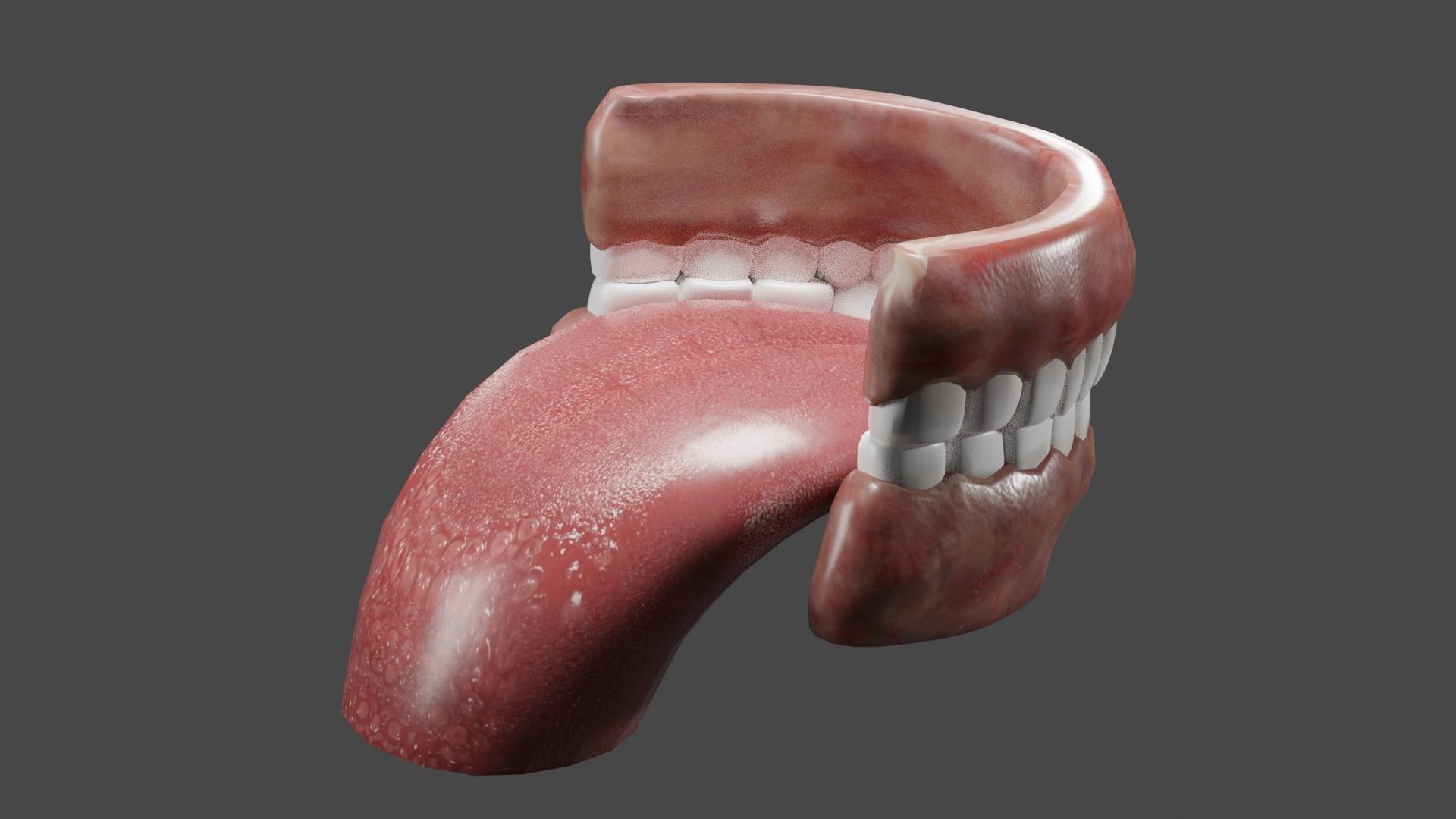Teeth and Tongue Low-poly 3D model_5
