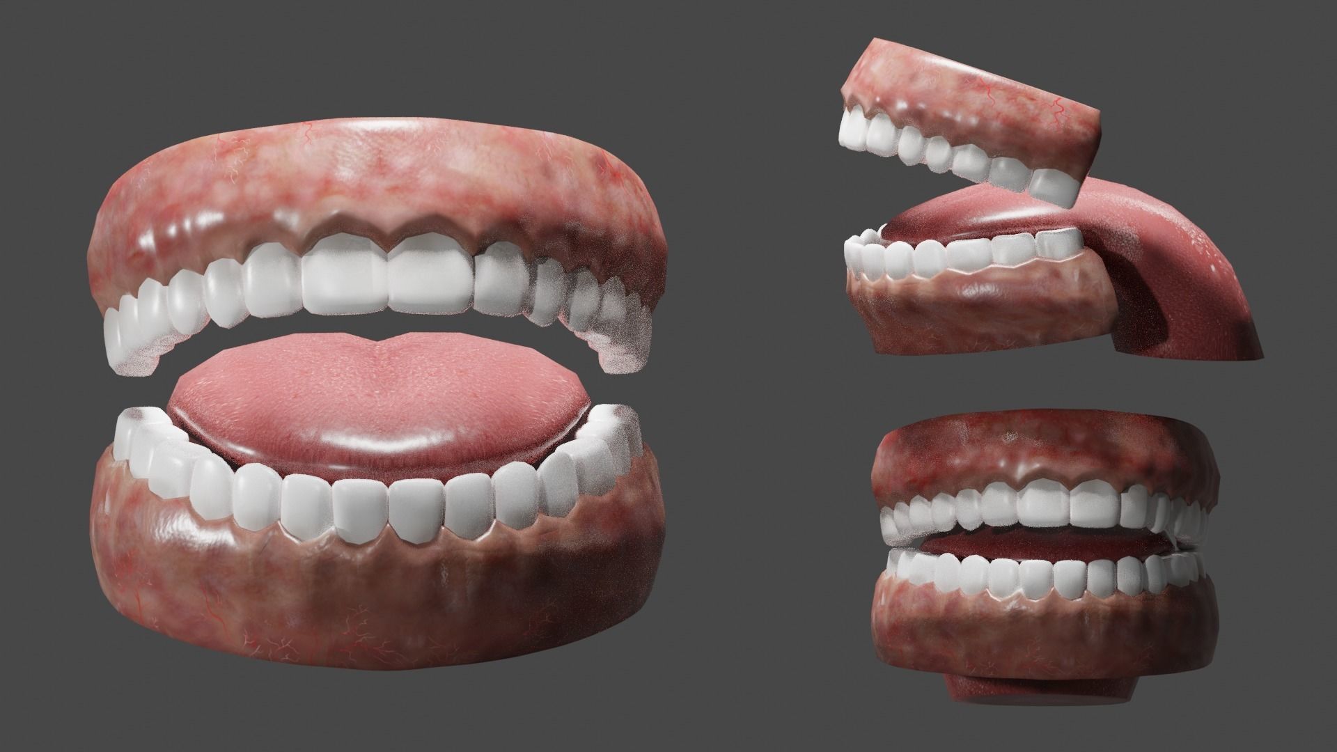 Teeth and Tongue Low-poly 3D model_7
