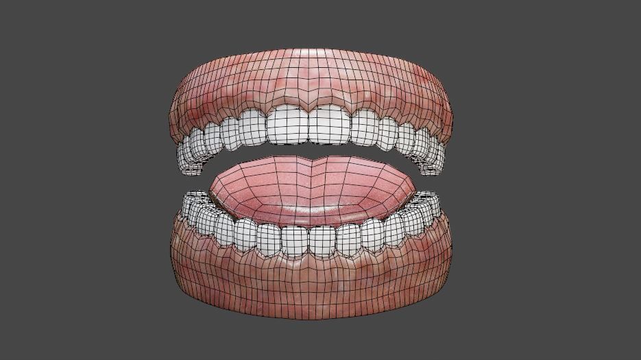 Teeth and Tongue Low-poly 3D model_11