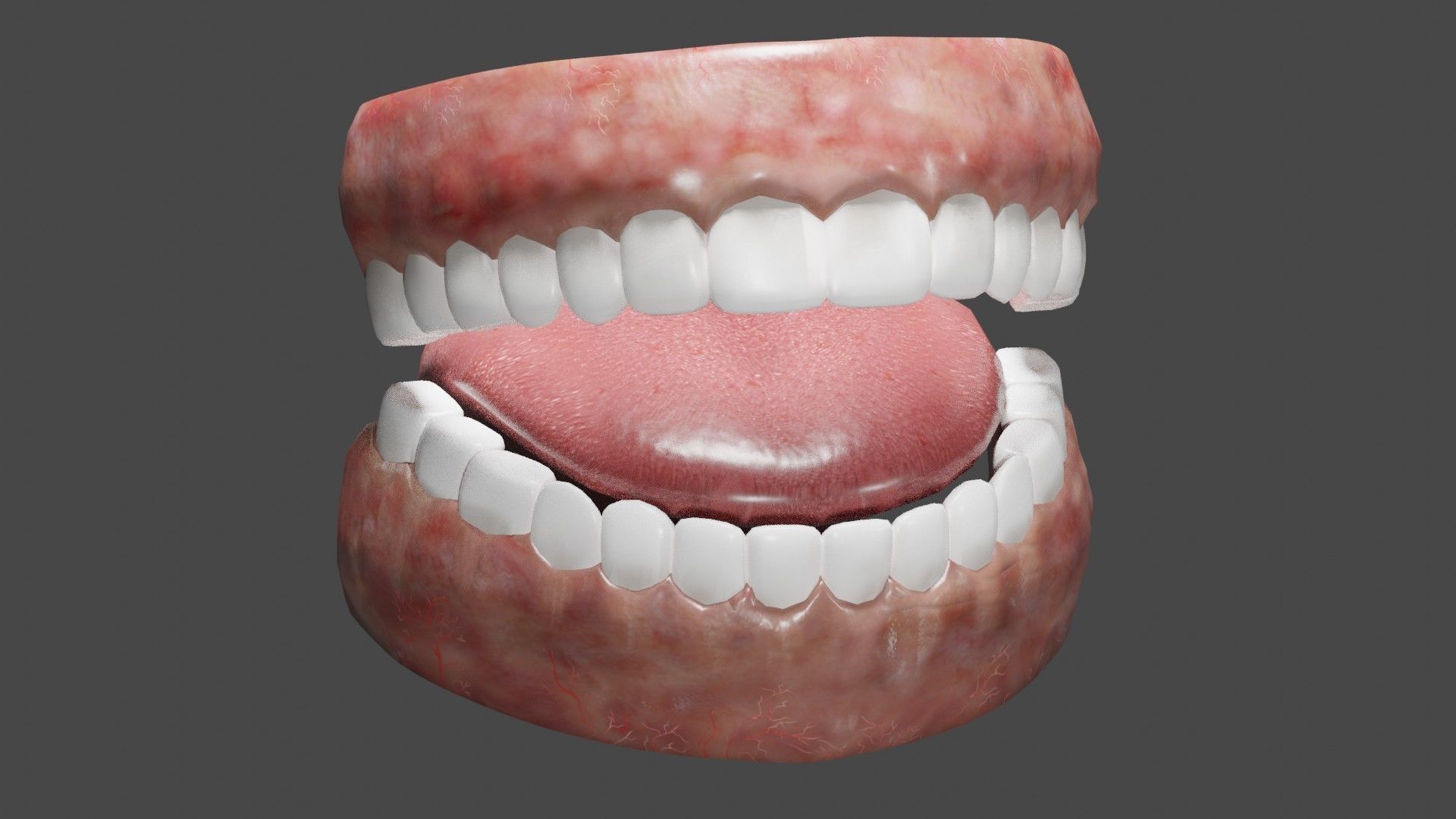Teeth and Tongue Low-poly 3D model_2
