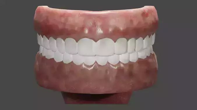 Teeth and Tongue  Low-poly 3D model