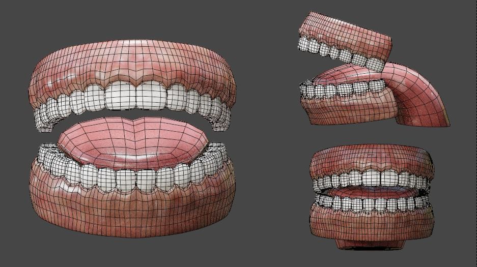 Teeth and Tongue Low-poly 3D model_9