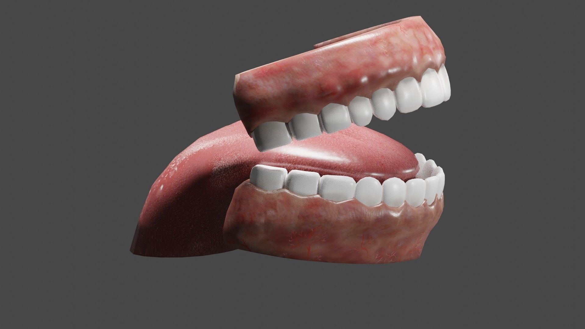 Teeth and Tongue Low-poly 3D model_4