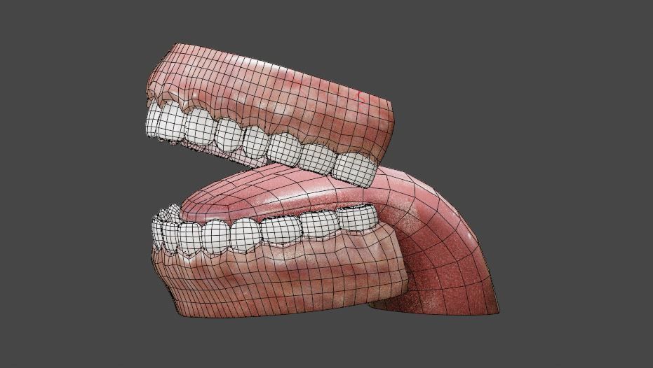 Teeth and Tongue Low-poly 3D model_10