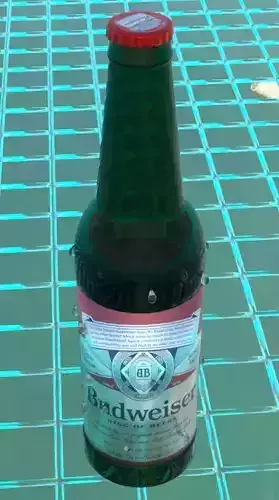 Beer Bottle