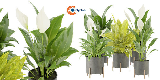 Collection plant vol 274 - blender model  3D model