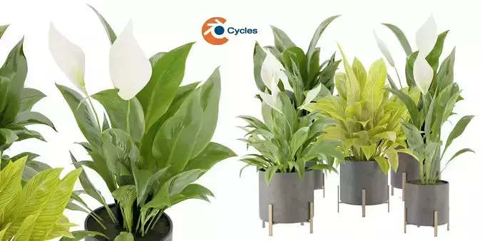 Collection plant vol 274 - blender model  3D model