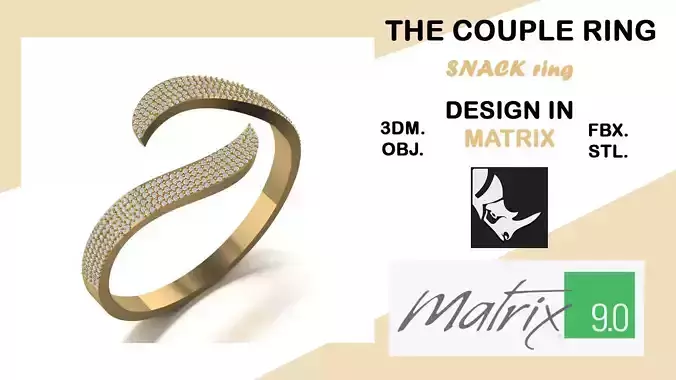 SNAKE model of ring VOL 21
