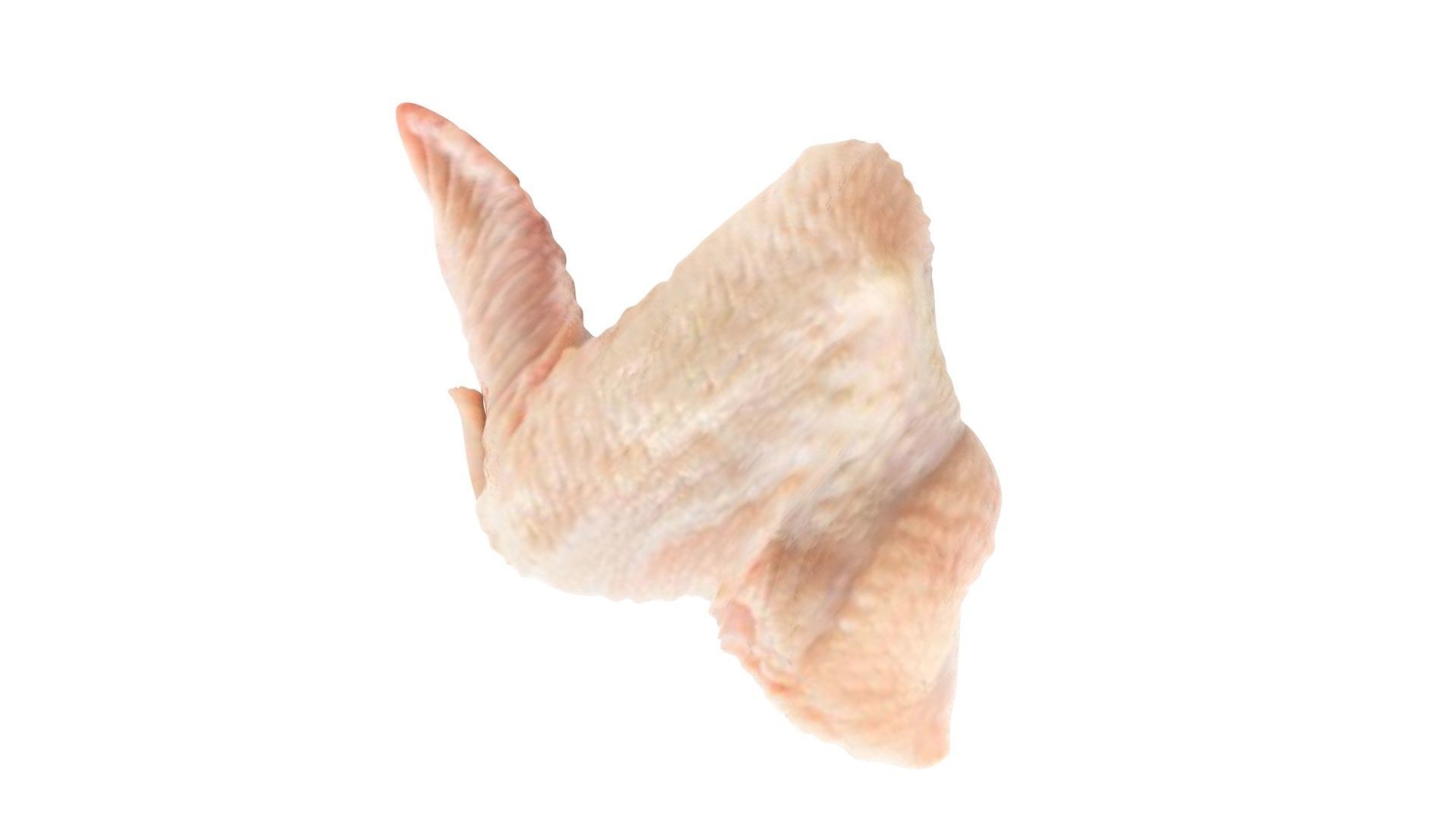 Chicken Wing 3D model_11