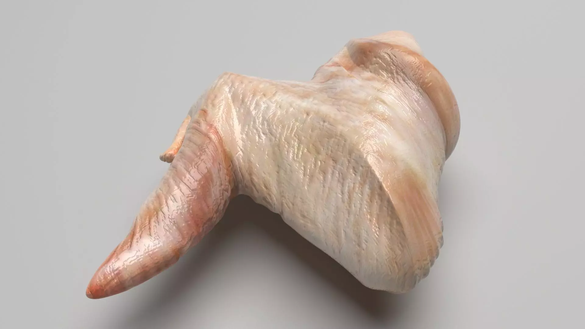 Chicken Wing 3D model_0