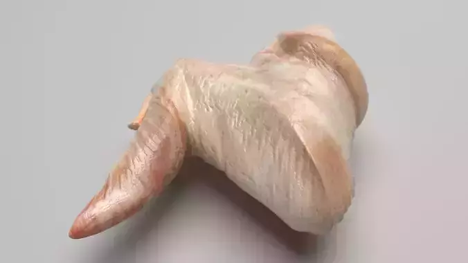 Chicken Wing 3D model