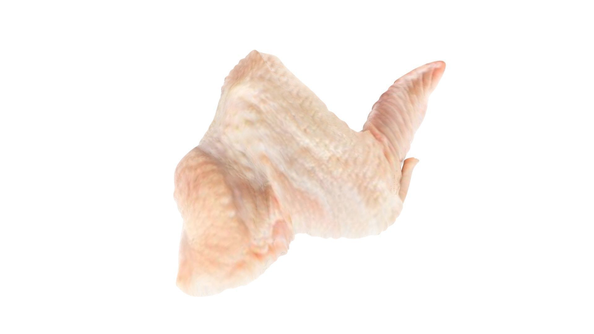 Chicken Wing 3D model_8
