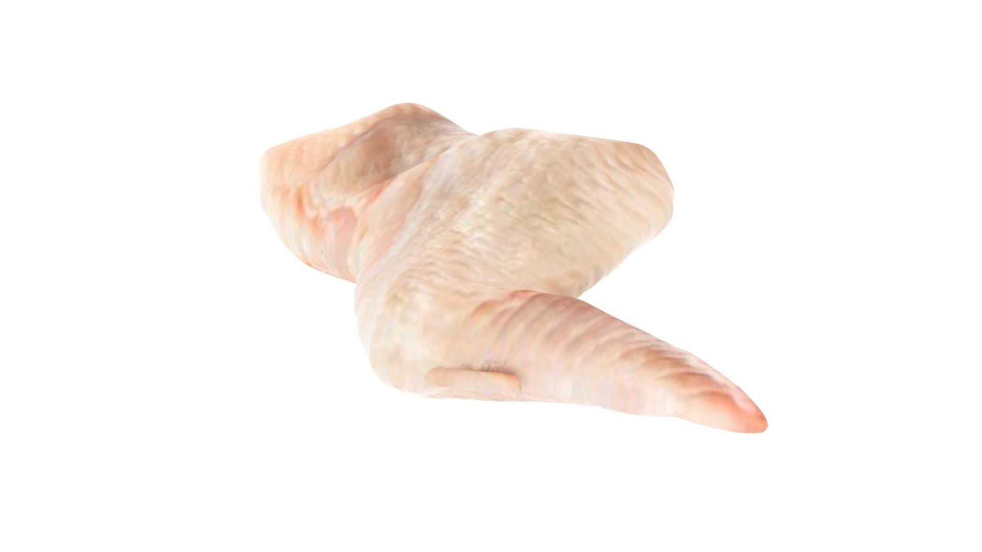 Chicken Wing 3D model_9