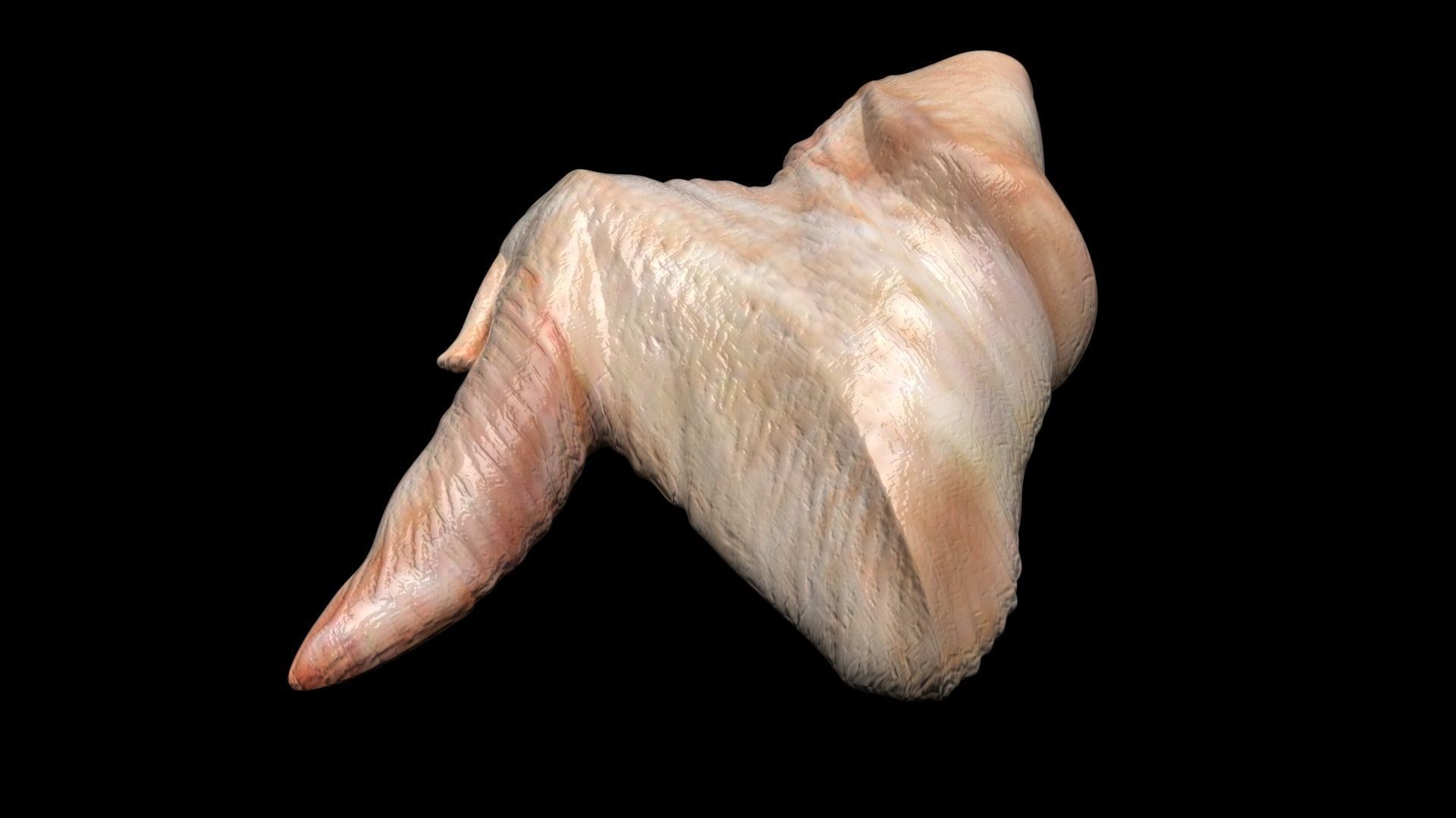 Chicken Wing 3D model_5