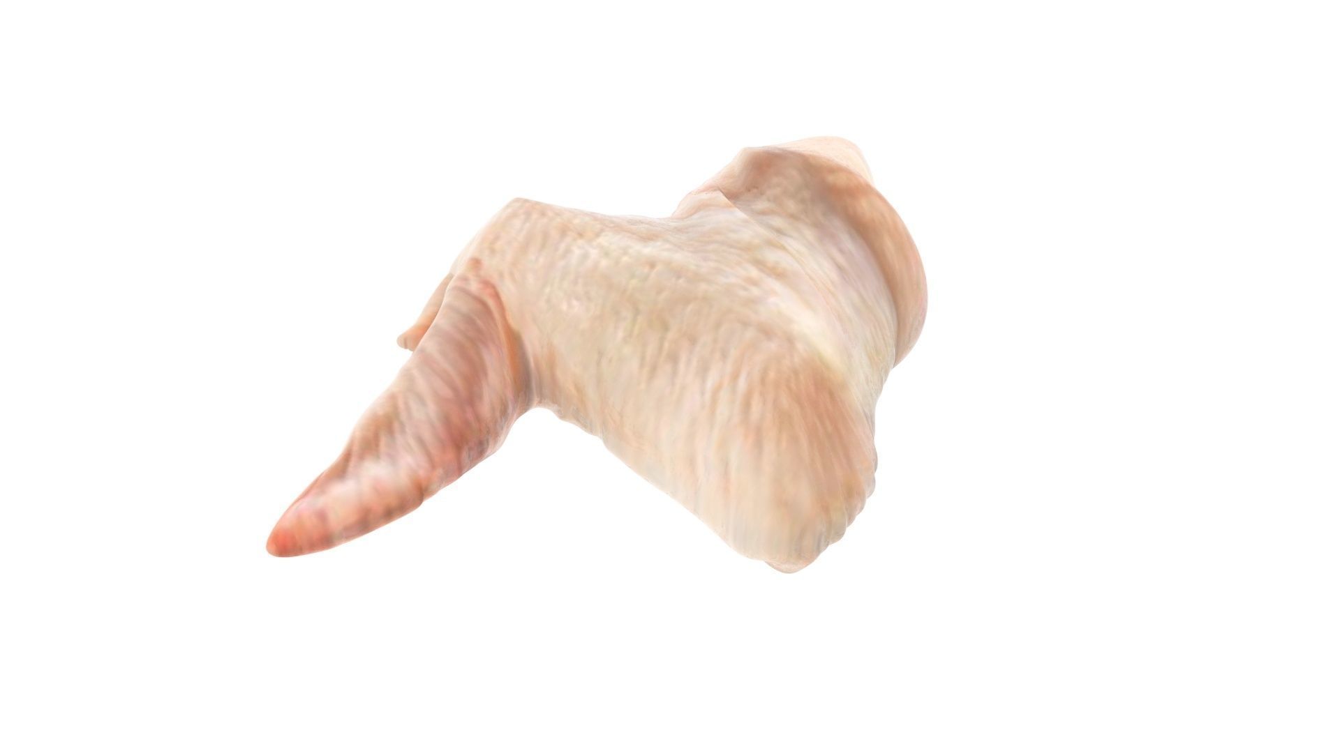 Chicken Wing 3D model_10