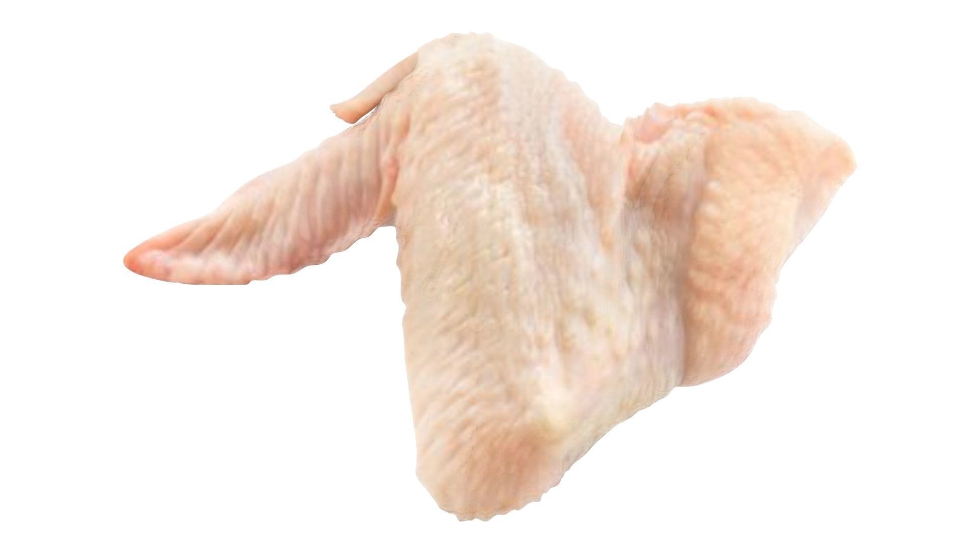 Chicken Wing 3D model_12