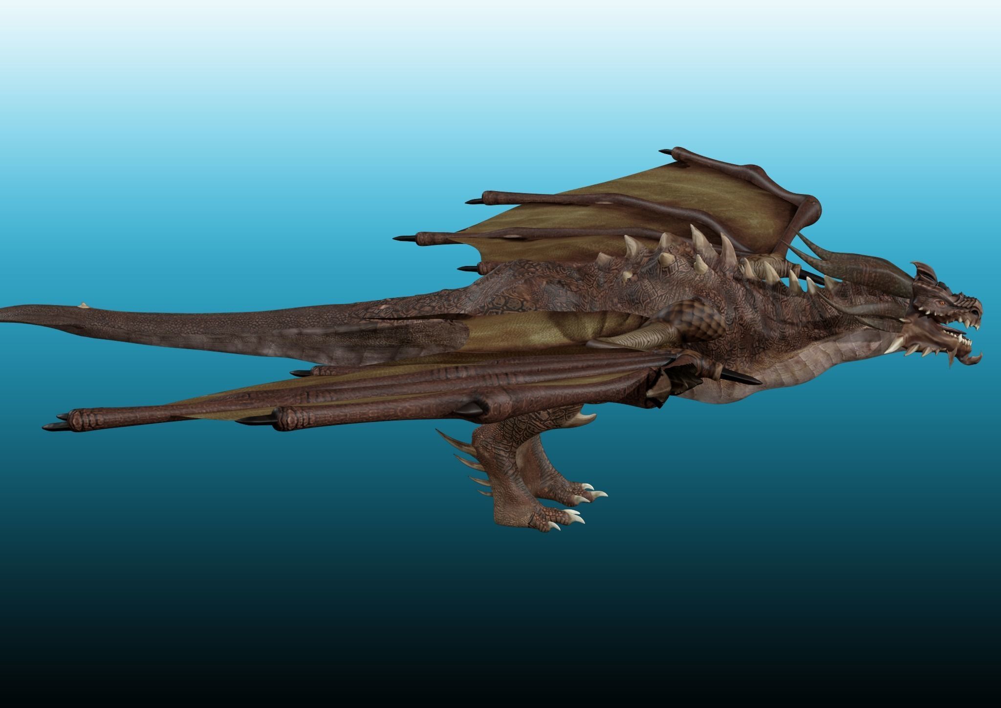 Dragon Wyvern 3D model_1
