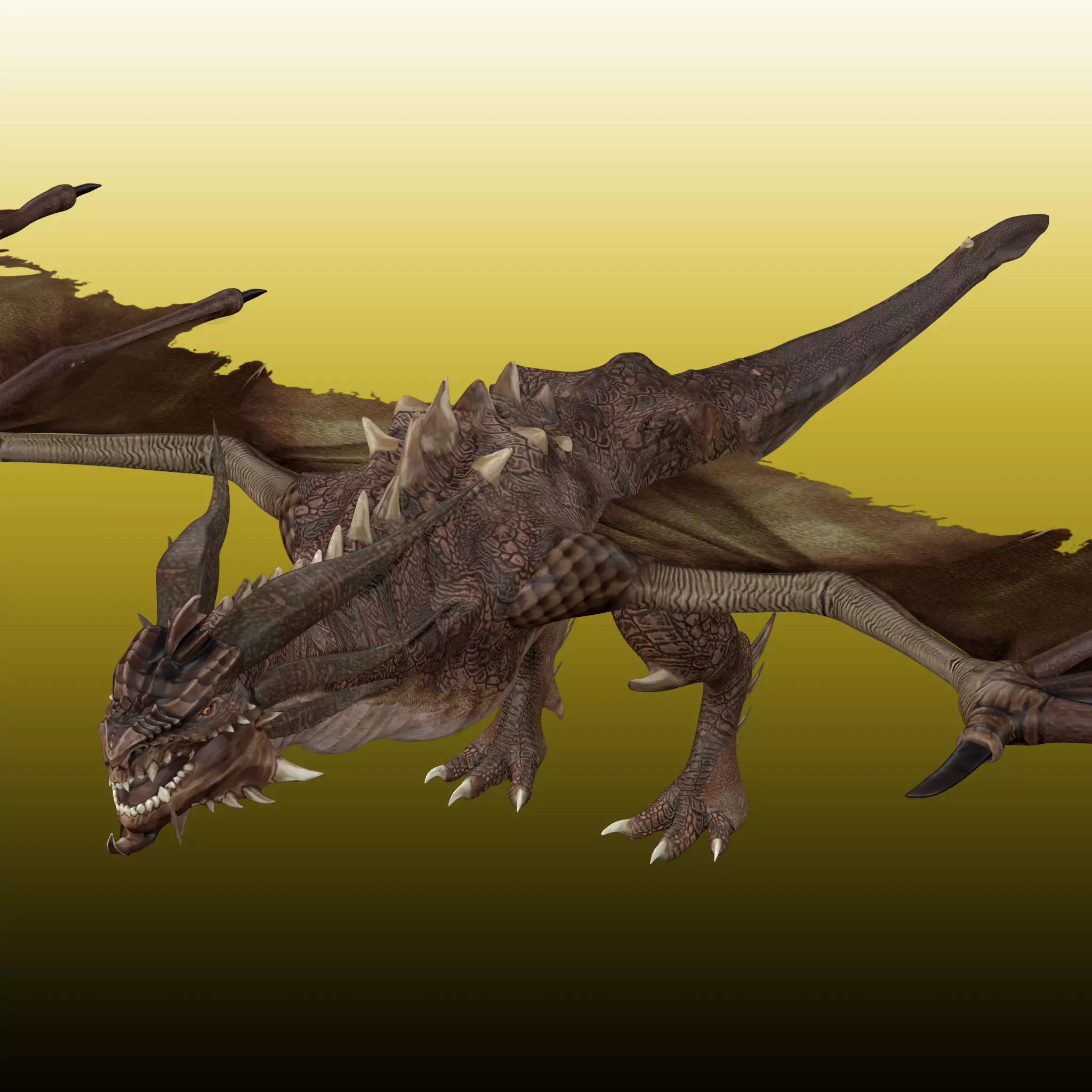 Dragon Wyvern 3D model_0