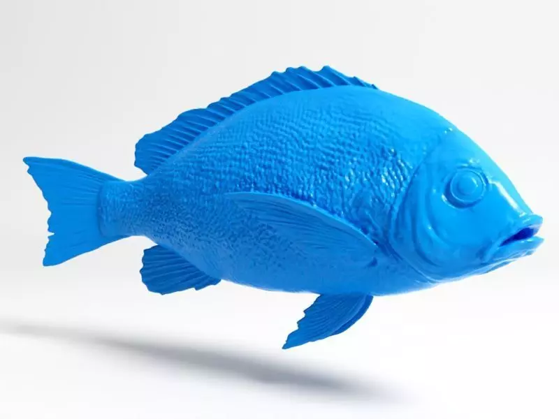 Snapper fish 3D print model_0