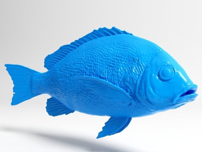 Snapper fish 3D print model_6