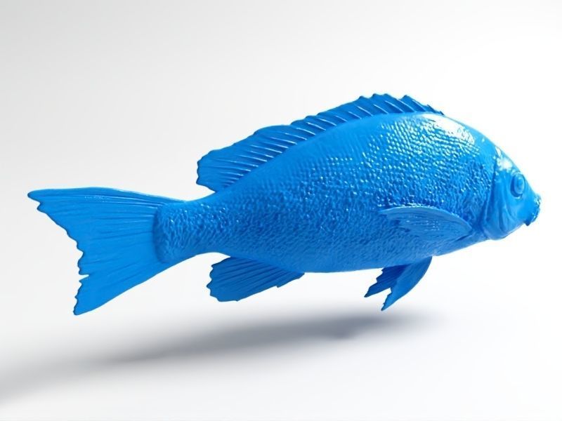 Snapper fish 3D print model_5