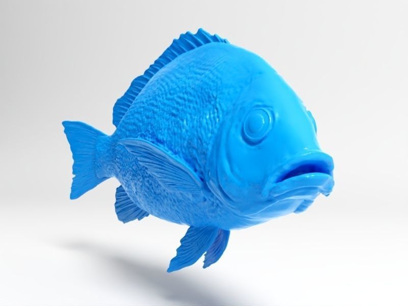 Snapper fish 3D print model_1