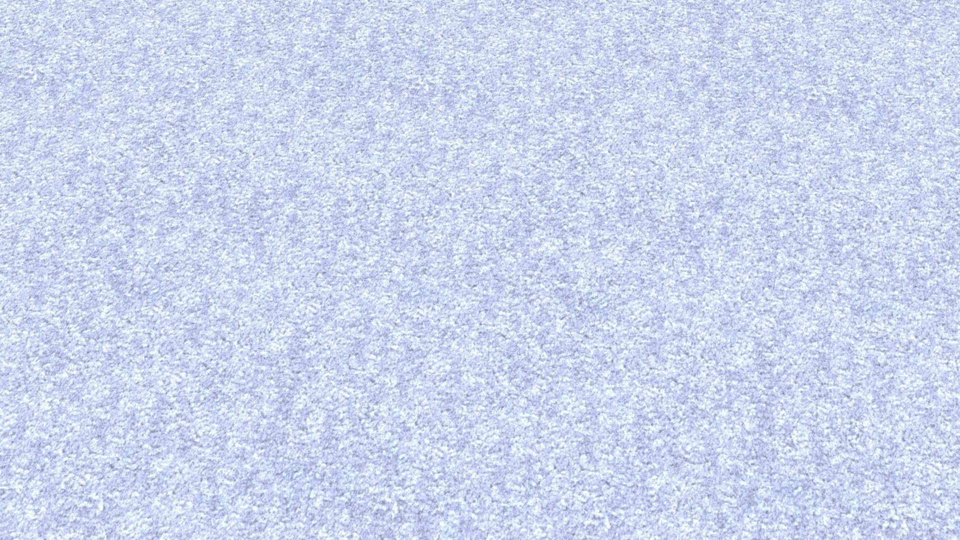 Carpet 3D model_4