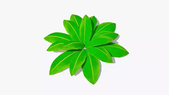 Stylized Cartoon Fern v1