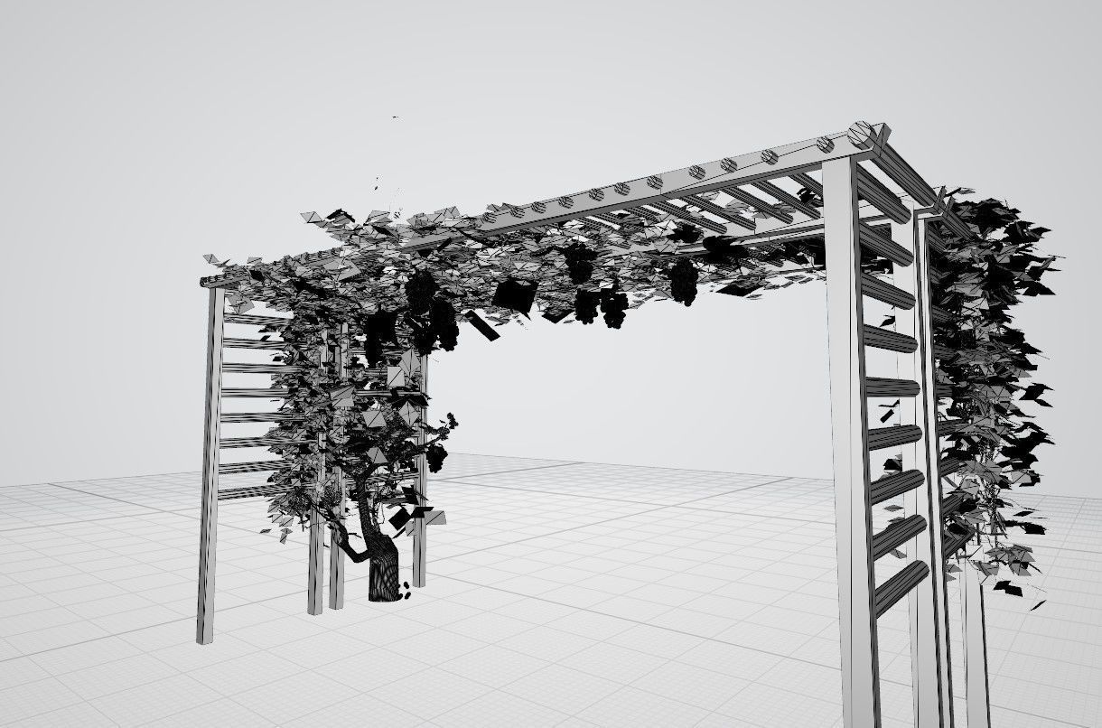 Grape vine grape tree 3D model_5