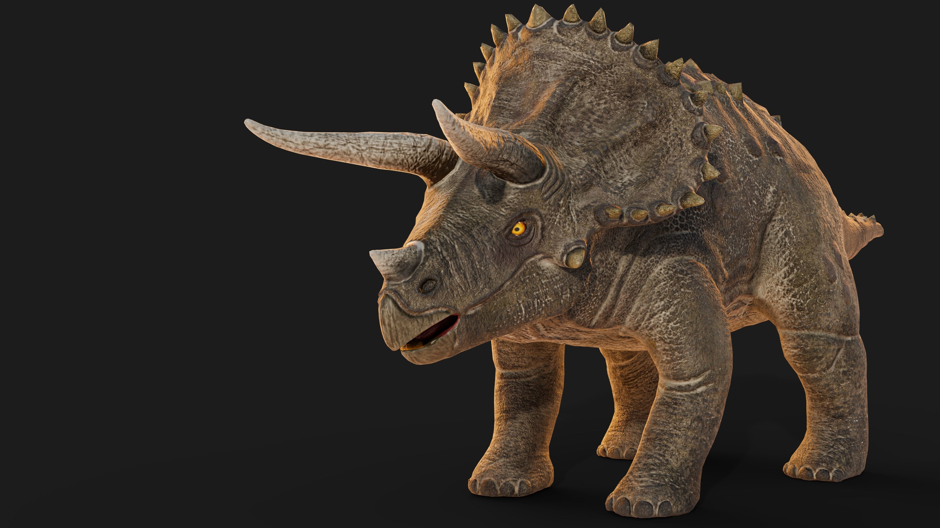Dinosaur Triceratops 3D Model - Game-Ready and Versatile Low-poly 3D model_1