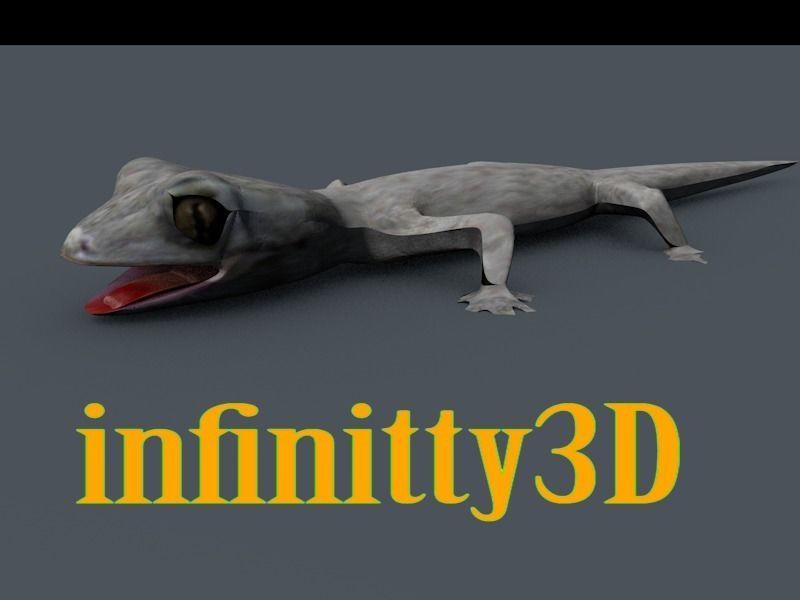 Gecko  Low-poly 3D model_3